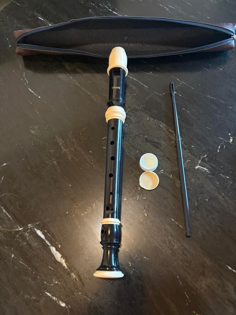 Blokfluit Thais Recorder Soprano ASRG-300, Musique & Instruments, Instruments à vent | Flûtes à bec, Enlèvement, Utilisé, Soprano ou Sopranino