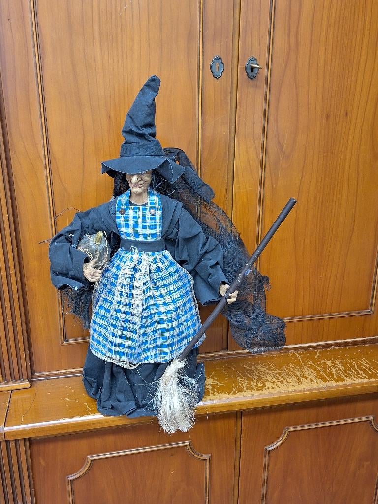 HEKS MET POMPOEN VOOR HALLEWEEN, Ophalen