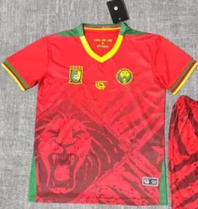 Kameroen Voetbal Uitshirt Origineel AfrikaCup Nieuw 2025, Ophalen of Verzenden, Zo goed als nieuw