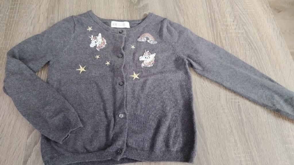 Golfje 110, Kinderen en Baby's, Kinderkleding | Maat 110, Ophalen, Meisje, Trui of Vest, H&M