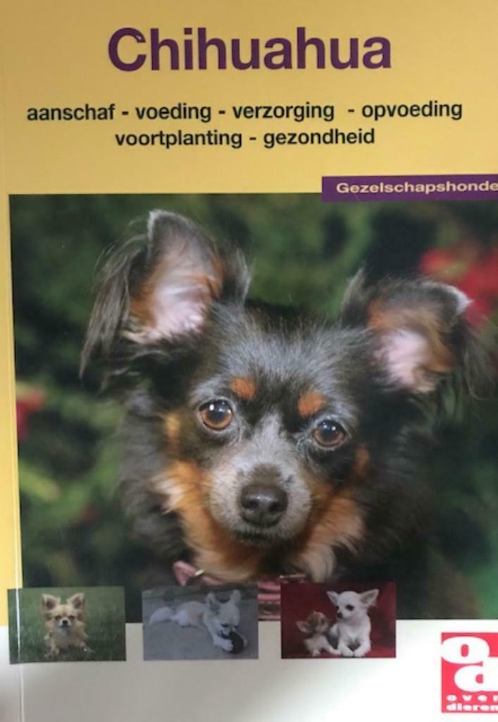 Chihuahua, over dieren, Ophalen of Verzenden, Honden