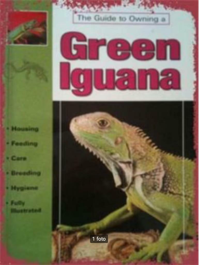 Green lguana, John Coborn, Livres, Animaux & Animaux domestiques, Enlèvement, Reptiles ou Amphibiens