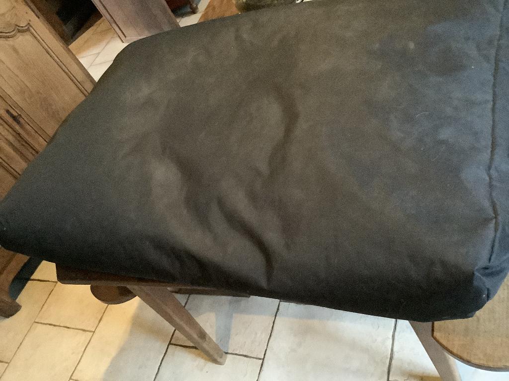Grand coussin chien 82 sur 120 de long, Ophalen