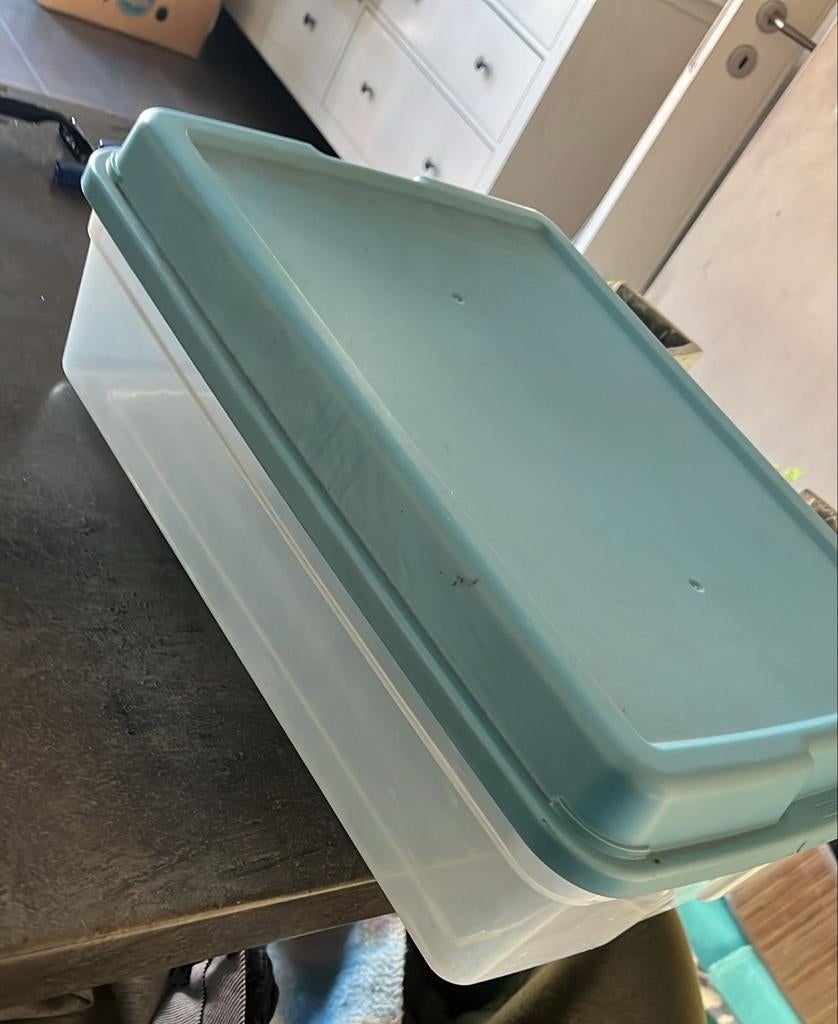 Grote Tupperware doos, Enlèvement, Comme neuf, Bleu, Autres types