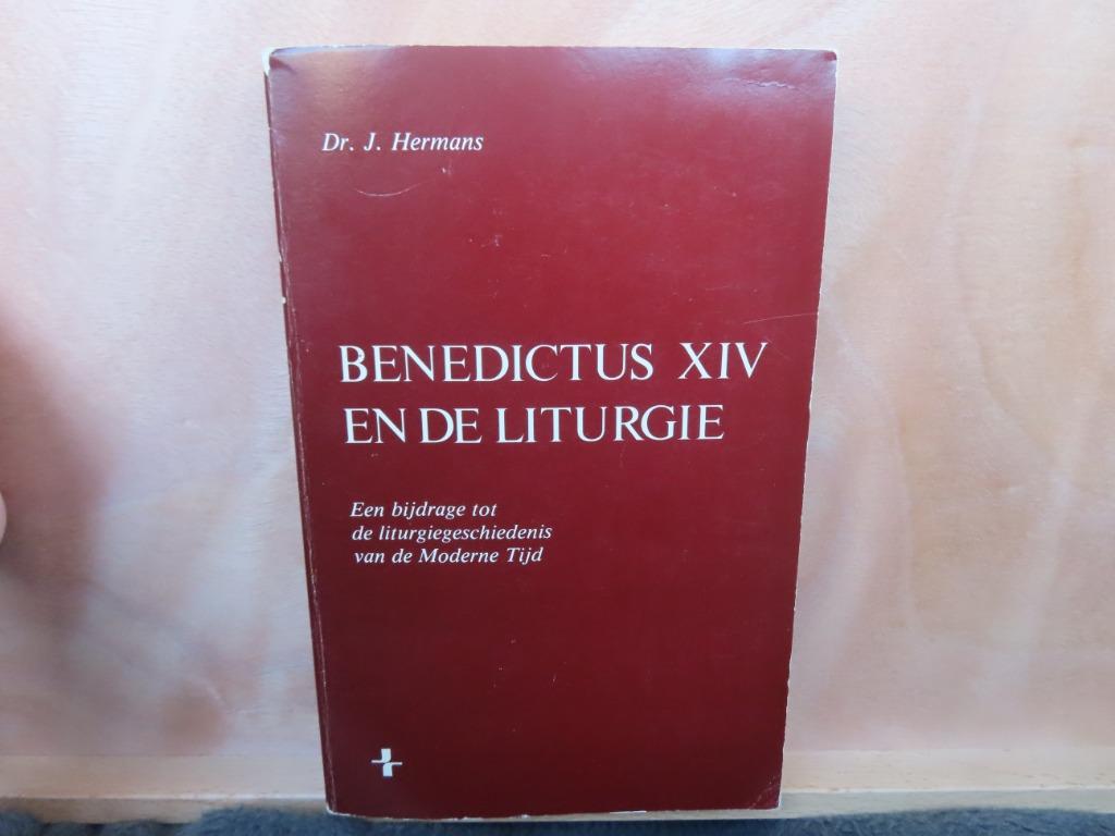 Benedictus XIV en de liturgie – Dr. J. Hermans, Boeken, Godsdienst en Theologie, Gelezen, Christendom | Katholiek, Ophalen of Verzenden