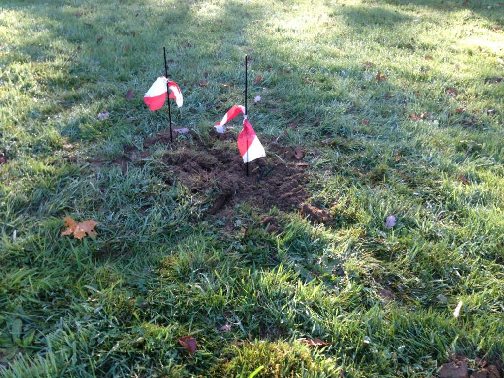 un taupier pour éliminer les taupes dans votre jardin, Enlèvement