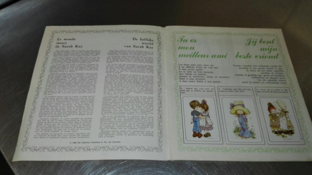 Album Panini Sarah Kay 1980, Verzamelen, Ophalen