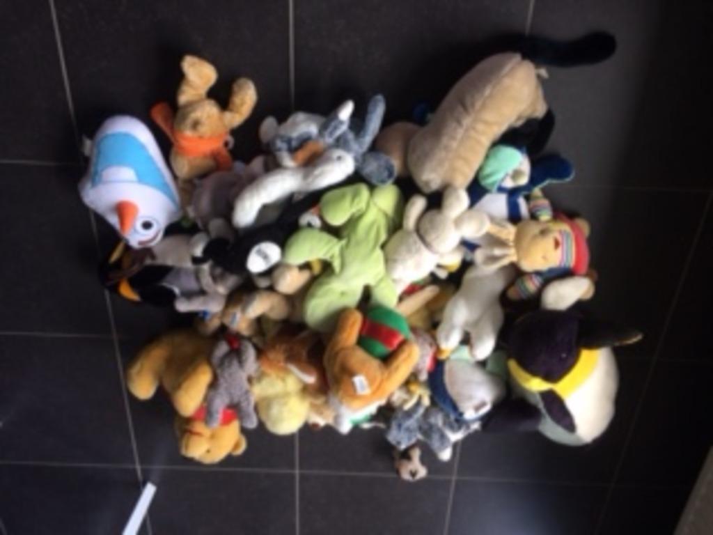 pluchen dieren - goede staat, Kinderen en Baby's, Speelgoed | Knuffels en Pluche, Ophalen, Gebruikt, Paard