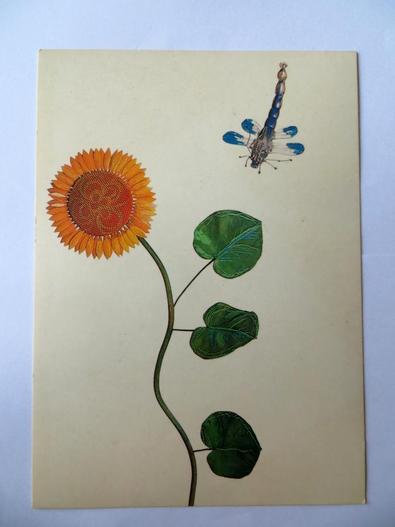 TEARS FOR FEARS VINTAGE PROMO POSTCARD SUNFLOWER, Envoi, Utilisé, Photo ou Carte