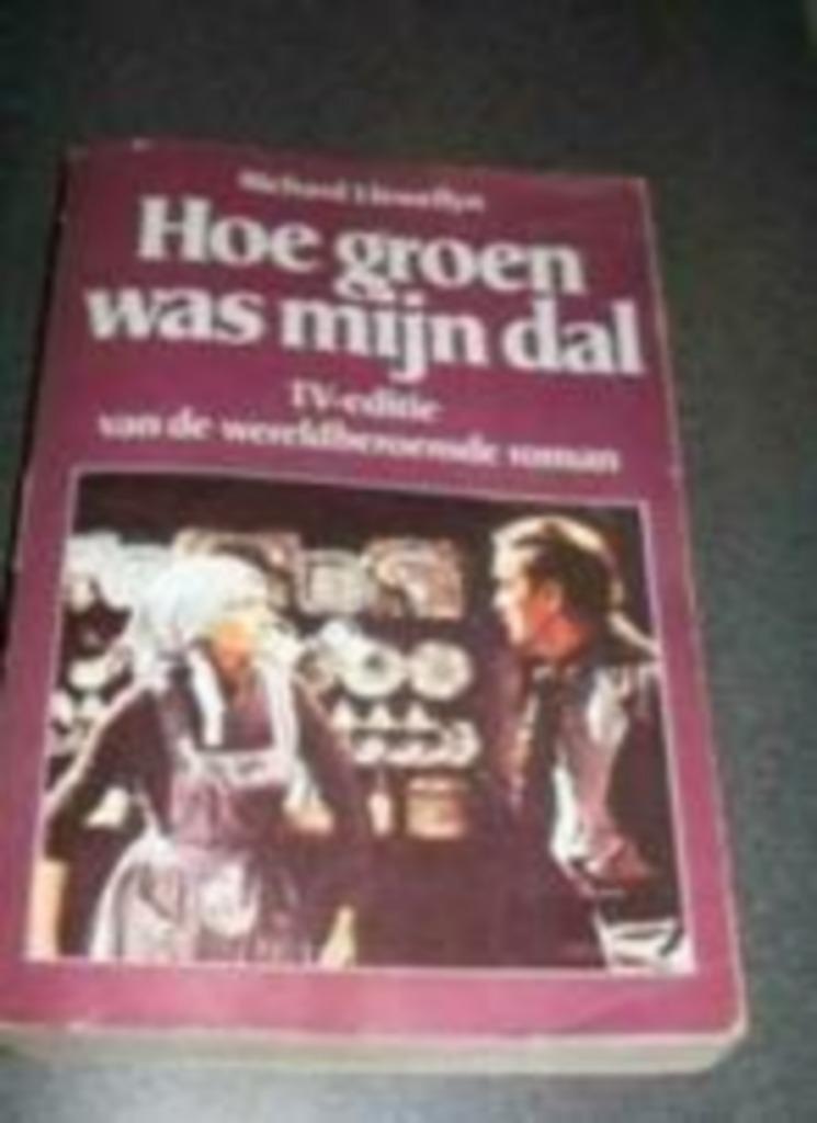 boek: hoe groen was mijn dal-Agatha Christie, Ophalen of Verzenden, Gelezen