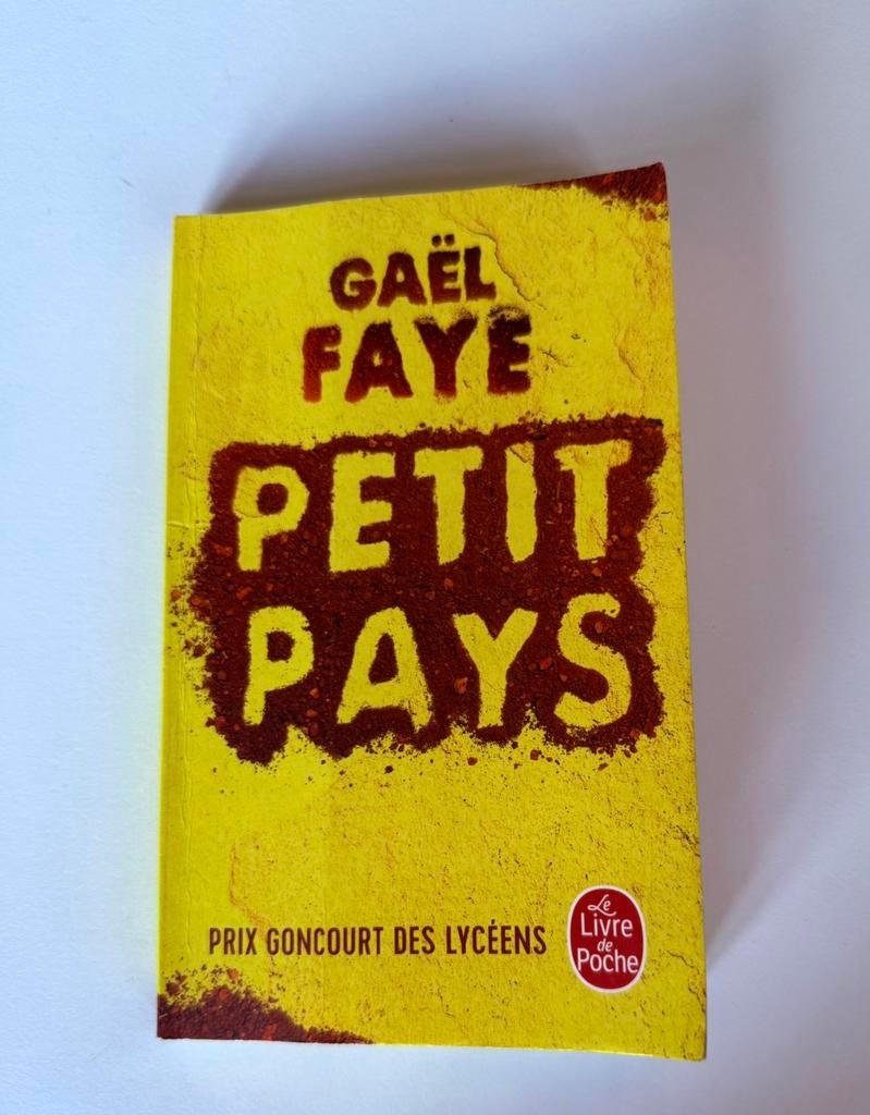 Livre "PETIT PAYS" de Gaël Faye, Livres, Enlèvement ou Envoi