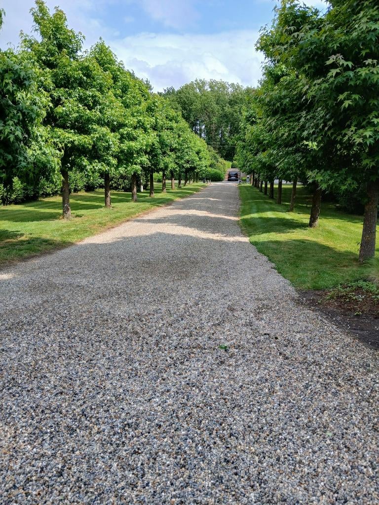 tuinonderhoud - snoeiwerken - hagen, Ophalen of Verzenden, Nieuw