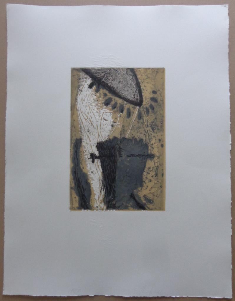 NICO LANNOO / KUNSTMAP 3X3 / KLEURETS / 65x50cm / SIG, Antiquités & Art, Art | Lithographies & Sérigraphies, Enlèvement ou Envoi