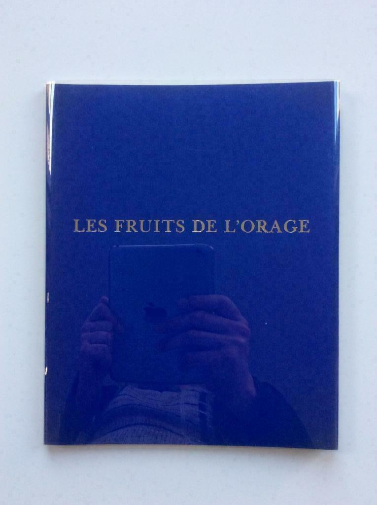 Les fruits de l'orage - Thomas Owen (Editions Lorelei, 1984), Ophalen of Verzenden, Zo goed als nieuw