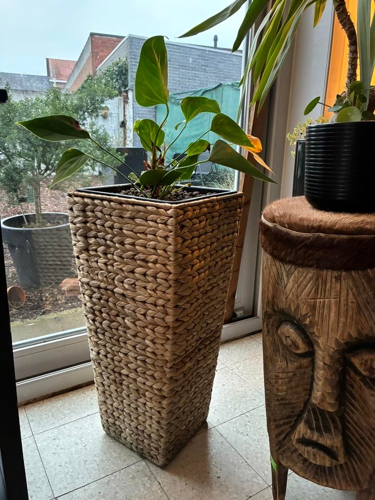 Plantenstaander van gevlochten waterhyacint incl plant, Tuin en Terras, Ophalen