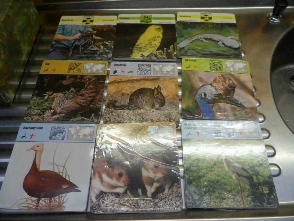 180 prenten van dieren, Verzamelen, Foto's en Prenten, Ophalen of Verzenden, Nieuw
