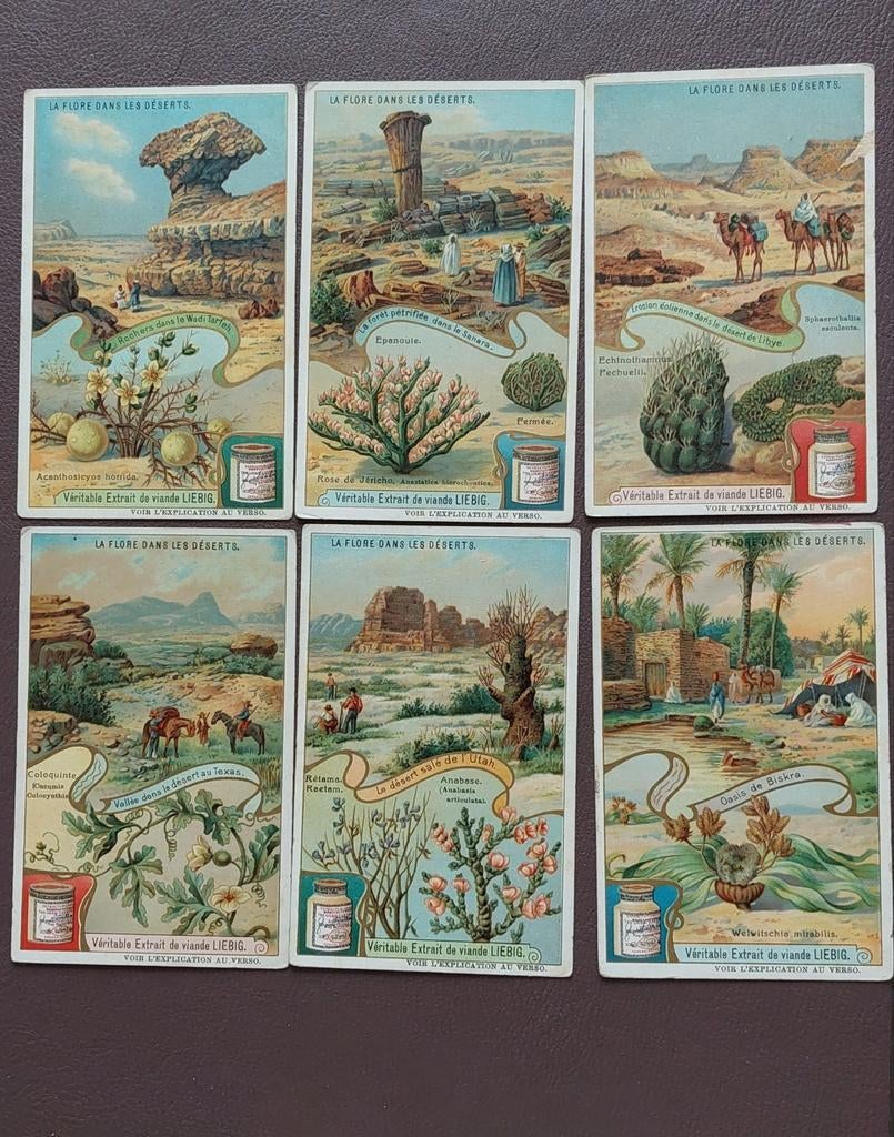 Liebig. Oude reeks La Flore dans les déserts, Verzamelen, Foto's en Prenten, Ophalen of Verzenden, Zo goed als nieuw