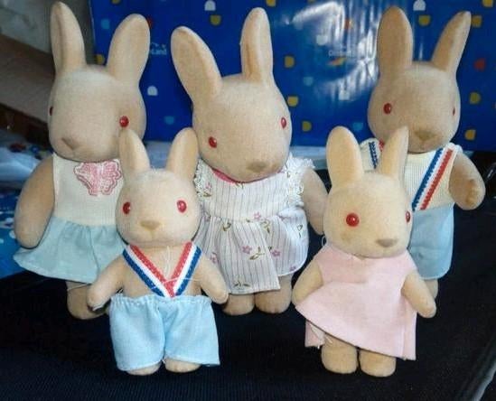Familie konijnen popjes, Ophalen of Verzenden, Zo goed als nieuw