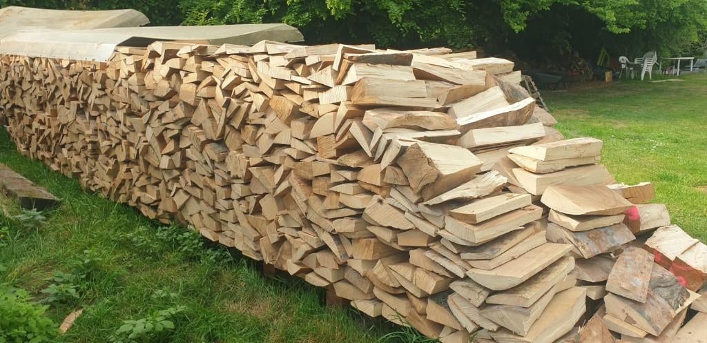 Bois de chauffage Hêtre sec prêt à brûler, 6 m³ ou plus, Enlèvement, Hêtre, Bûches