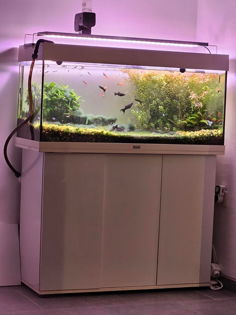 Complete aquarium juwel Rio 180 met kast, Dieren en Toebehoren, Ophalen