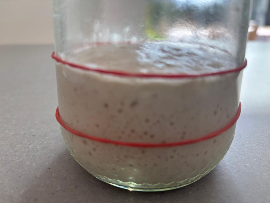 Actieve zuurdesemstarter ( 50 gram ), Diversen, Levensmiddelen, Ophalen of Verzenden