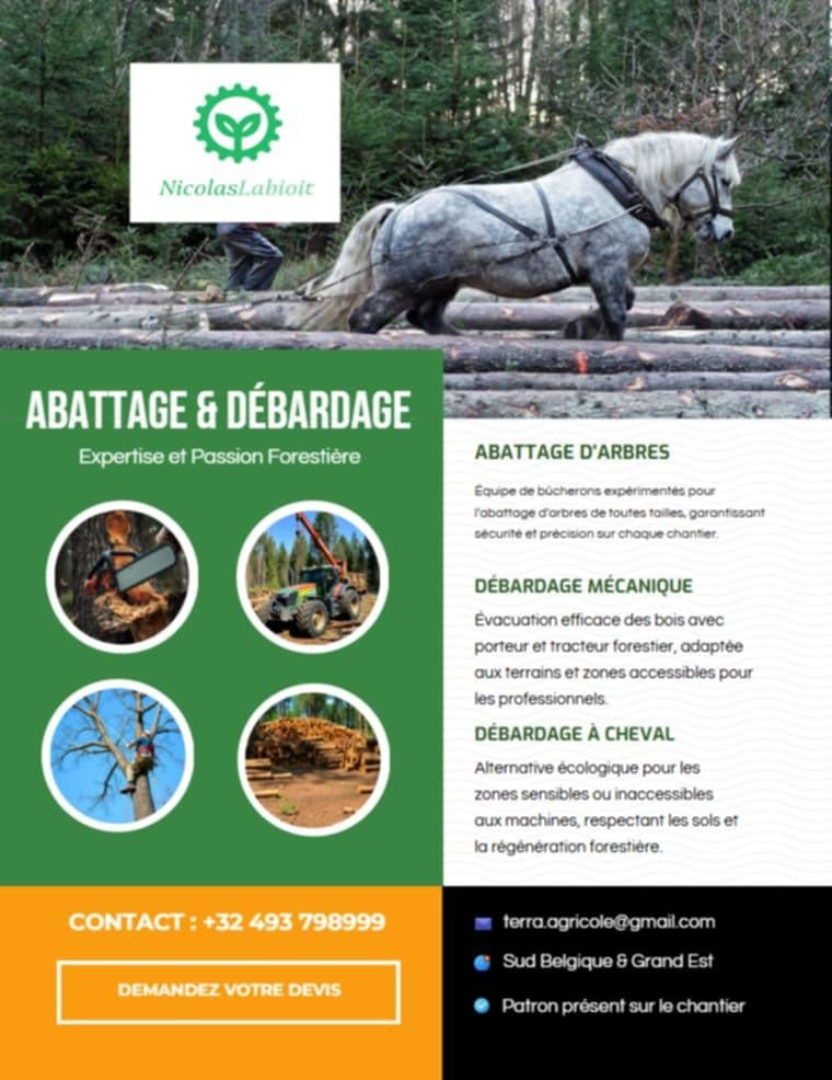 Travaux forestiers, Enlèvement