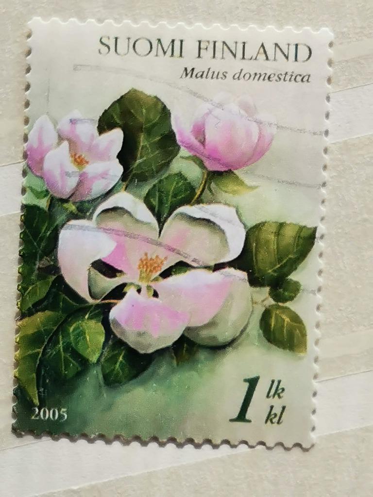 Finlande 2005 - fleur de pommier - fleurs - flore, Enlèvement ou Envoi, Finlande, Affranchi