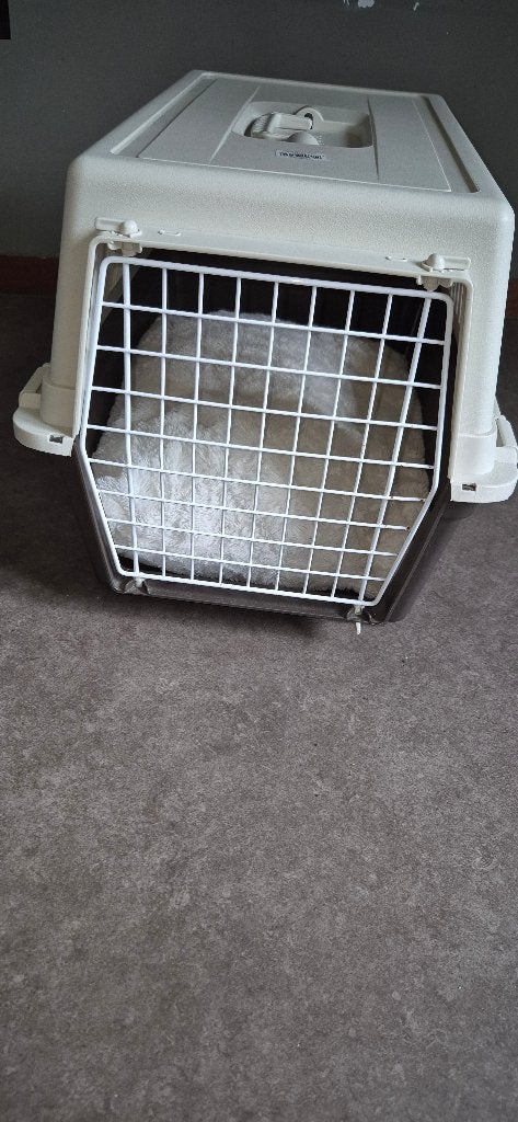 Transportbox voor dieren, Animaux & Accessoires, Boîtes de transport, Enlèvement, Neuf