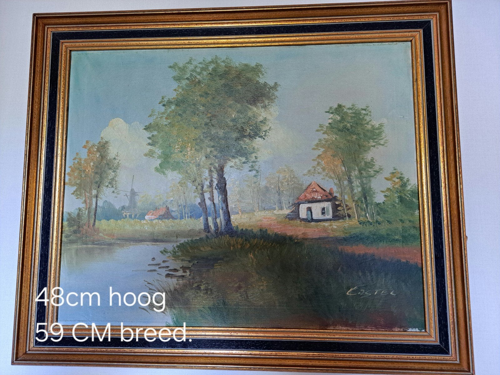mooie schilderijen., Antiek en Kunst, Ophalen, Landschap