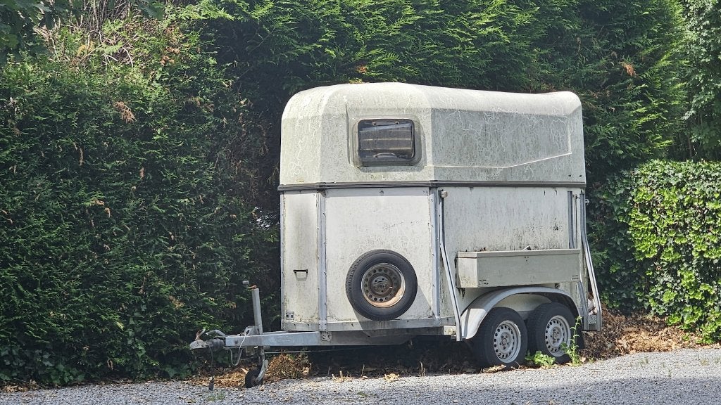 Paardentrailer voor 2 paarden – bieden vanaf €500, Ophalen, Gebruikt, 2-paards trailer