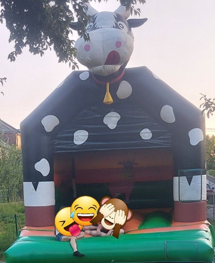 Chateau "JB gonflable" professionnel complet, Enlèvement ou Envoi, Utilisé