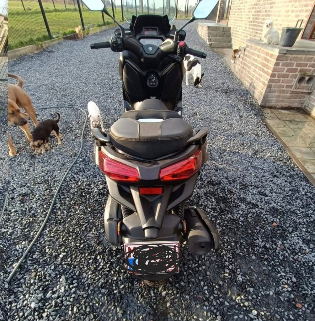 Scooter, Motos, Scooter, 125 cm³, Permis Moto A1 minimum, ABS