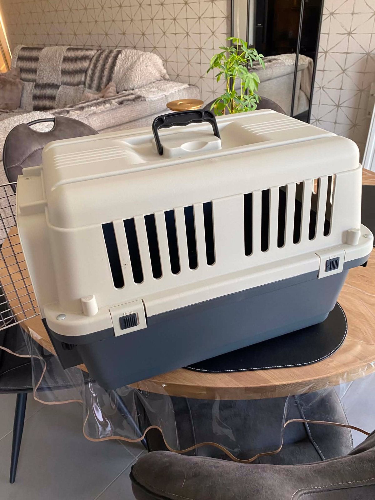 Transportbox hond of kat, Ophalen, Zo goed als nieuw
