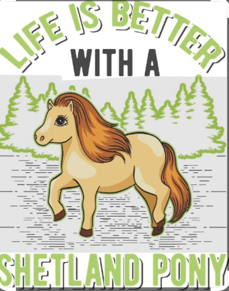 Op zoek naar een forever home voor een shetland gezinnetje, Dieren en Toebehoren, Pony's, Gechipt, Niet van toepassing, 7 tot 10 jaar