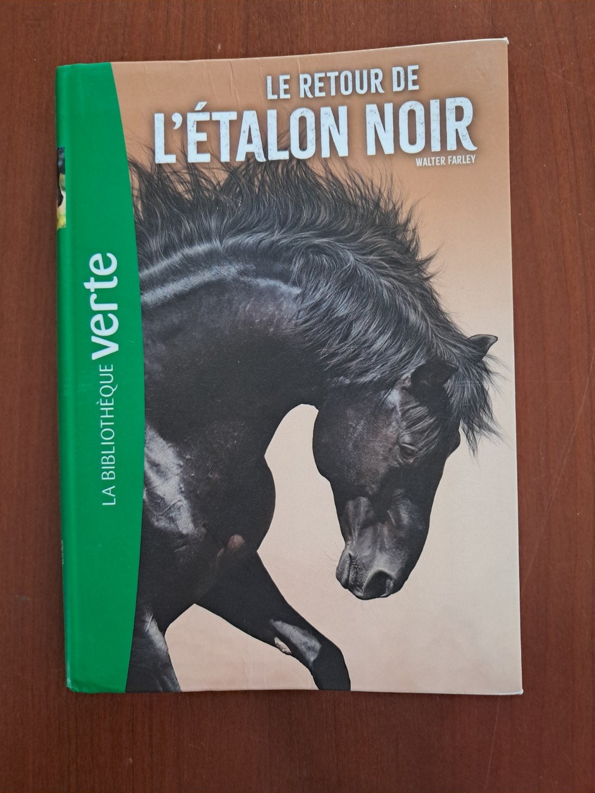 livre L'étalon Noir, Enlèvement