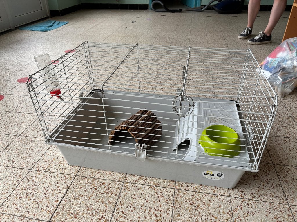 Hok/kooi knaagdier (cavia, konijn,…), Animaux & Accessoires, Rongeurs & Lapins | Cages & Clapiers, Enlèvement, Utilisé, Cage, Cobaye