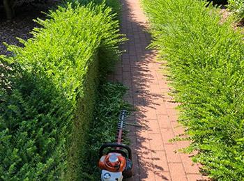 Tuinonderhoud/opruimingen, Tuin en Terras, Ophalen, Zo goed als nieuw