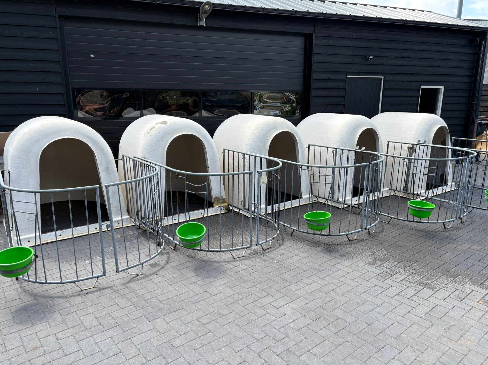 5 kalveriglos, Dieren en Toebehoren