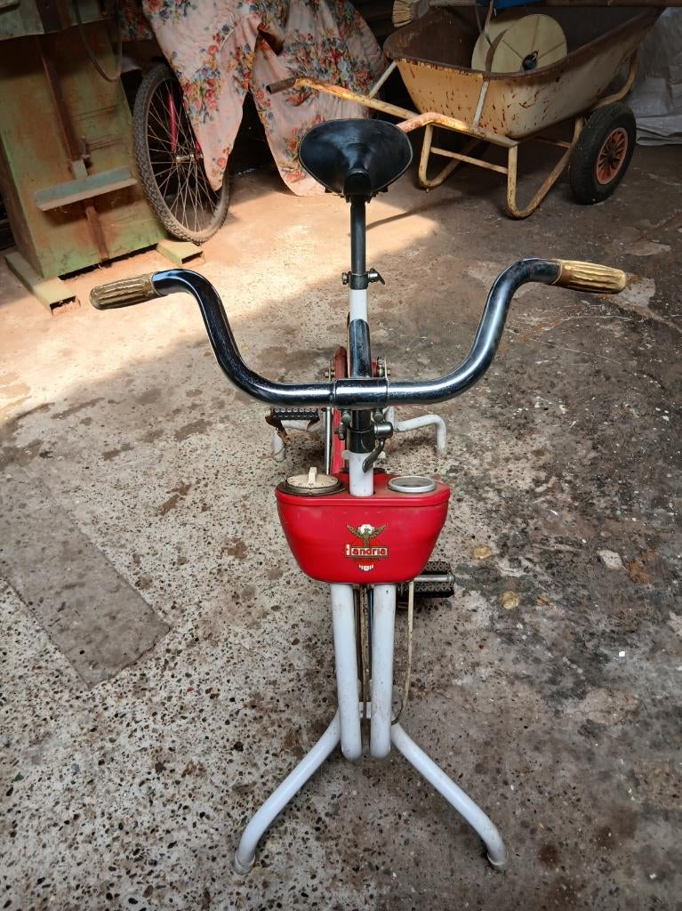 hometrainer - fiets, Ophalen, Gebruikt, Overige merken