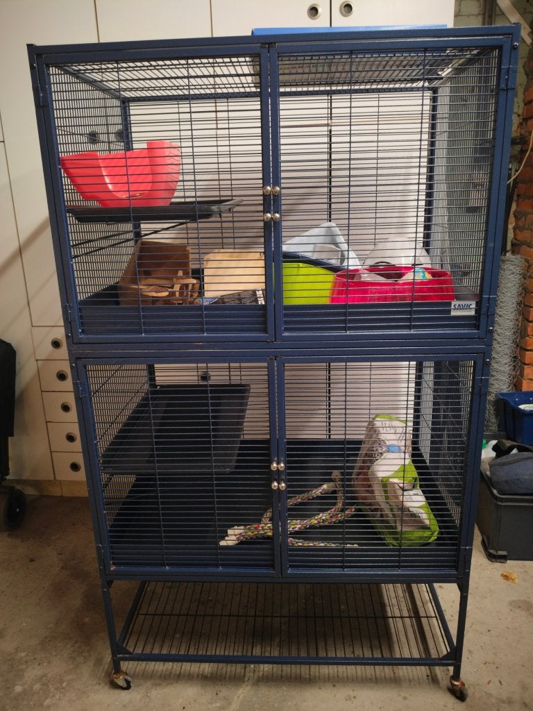 knaagdierenkooi, Ophalen, Kooi, Gebruikt, Hamster