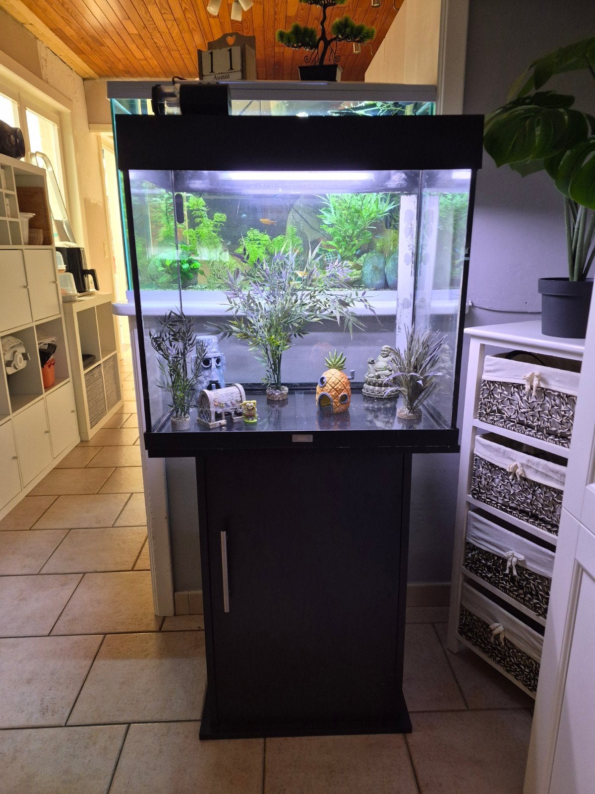 Aquarium 60/60/40  H,L,P. capacité 140L avec meubles état im, Ophalen, Inclusief deksel, Gebruikt, Overige typen