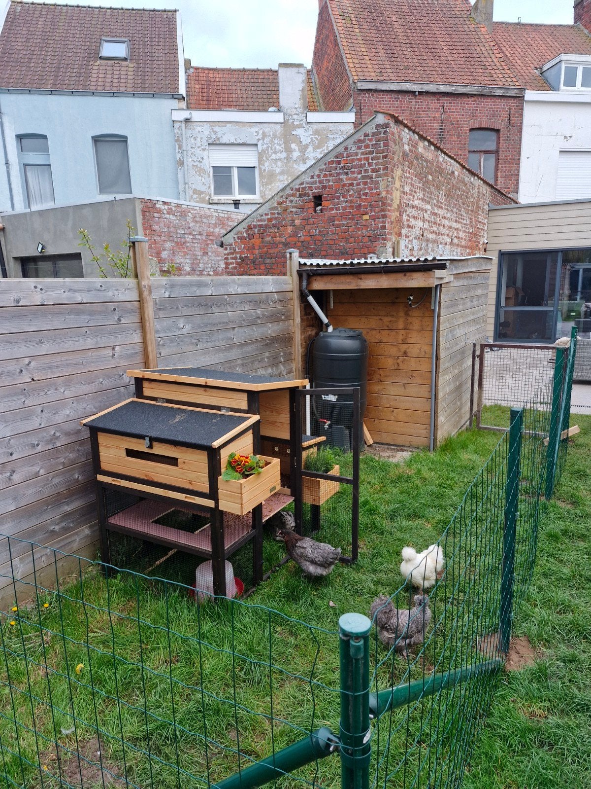 Gratis kippenhok zo meenemen, Dieren en Toebehoren, Ophalen