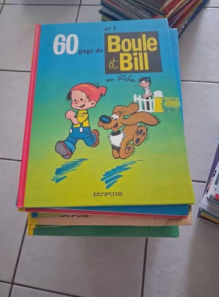 Bandes dessinées Boule & Bill tome 1 à 24 et 28 à 43, Enlèvement