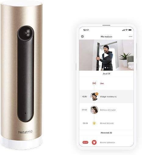 Caméra de surveillance Netatmo Welcome, Enlèvement, Utilisé, Caméra d'intérieur