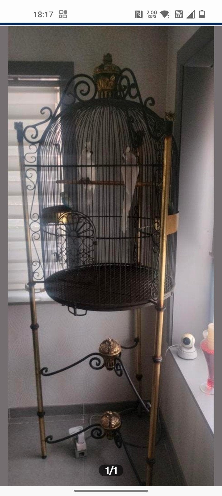 Mooie vogelkooi, Enlèvement, Cage à oiseaux