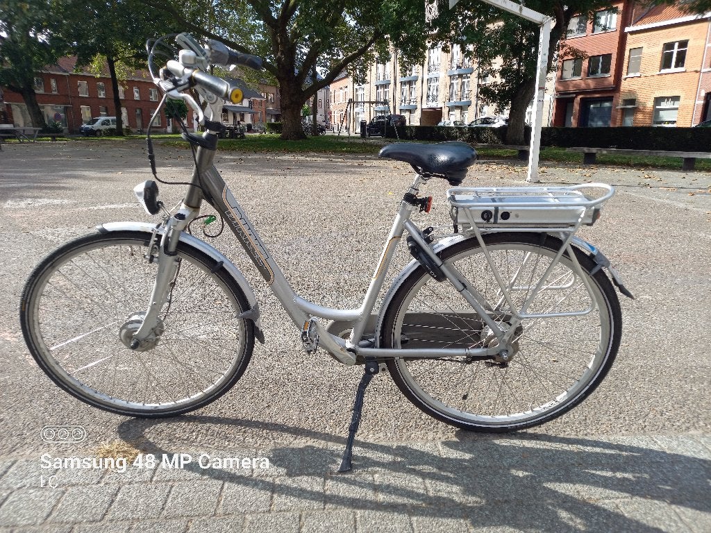 E-bike, Vélos & Vélomoteurs, Vélos électriques, Enlèvement, Utilisé, 30 à 50 km par batterie, Autres marques