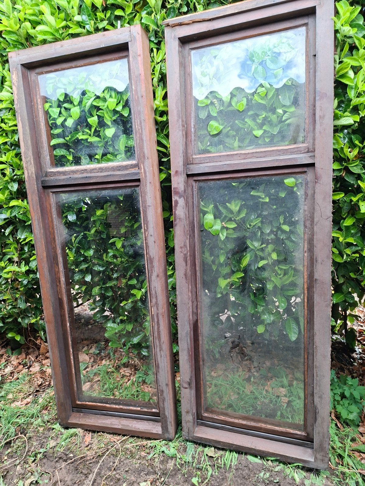 Raam, Meranti, enkel glas, Enlèvement
