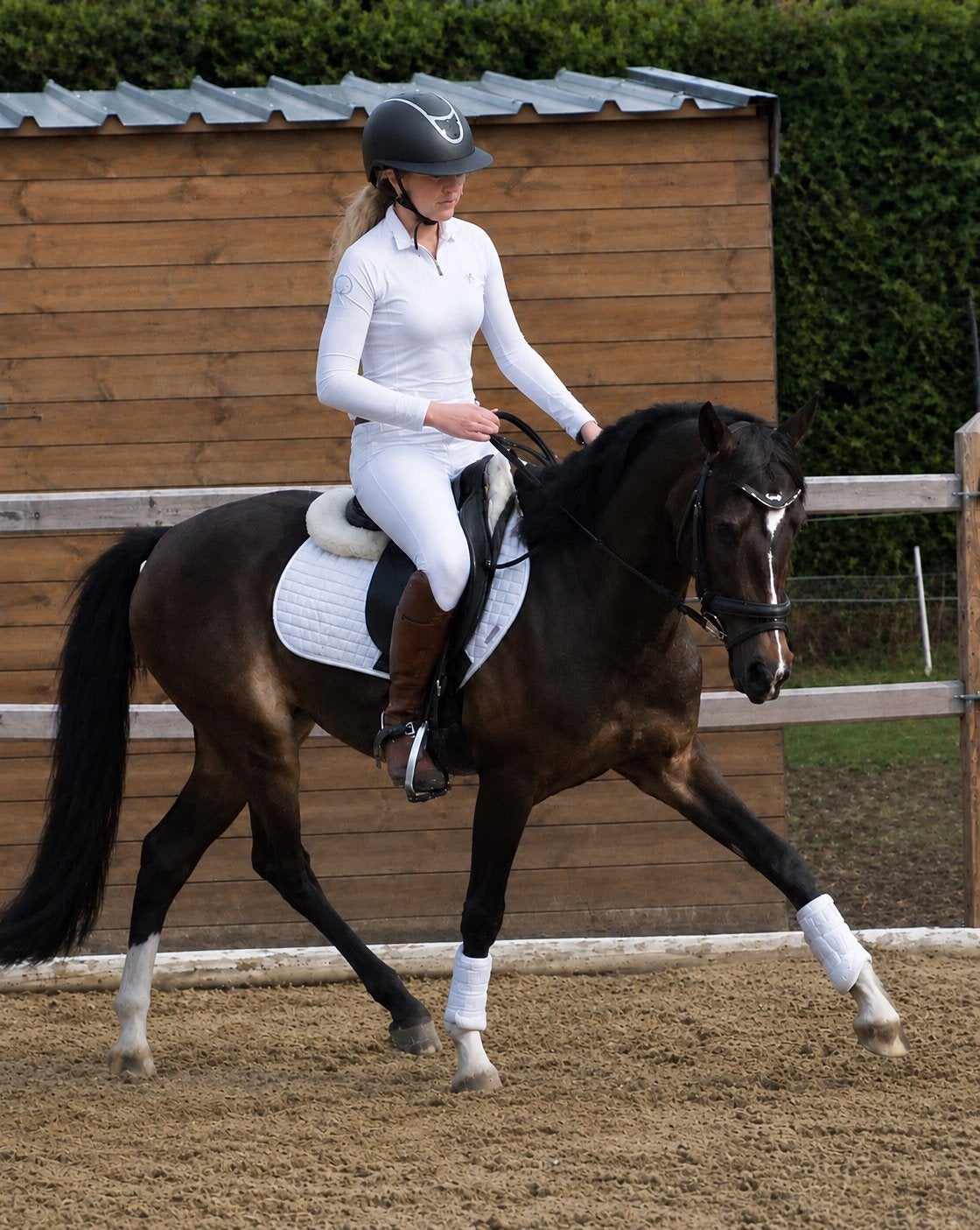 Aparte getalenteerde pony echt voor kinderen, Dieren en Toebehoren, Ruin, Dressuurpony, 3 tot 6 jaar, D pony (1.37m tot 1.48m)