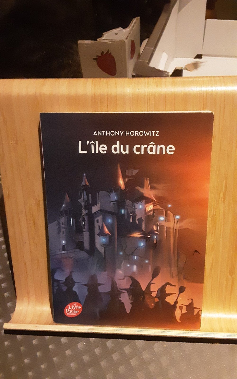 l ile du crane boek, Boeken, Ophalen of Verzenden, Gelezen, Fictie