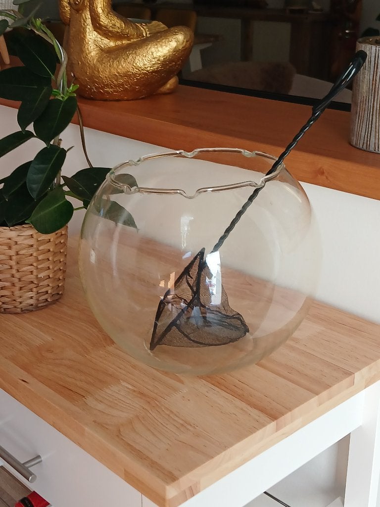 Gobelet d'aquarium, Enlèvement, Comme neuf, Bocal à poissons